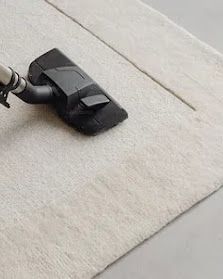 Black vacuum cleaner head on a light carpet near a hard floor edge