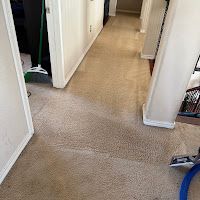 Carpeted hallway with open white doors and a vacuum cleaner in the foreground.