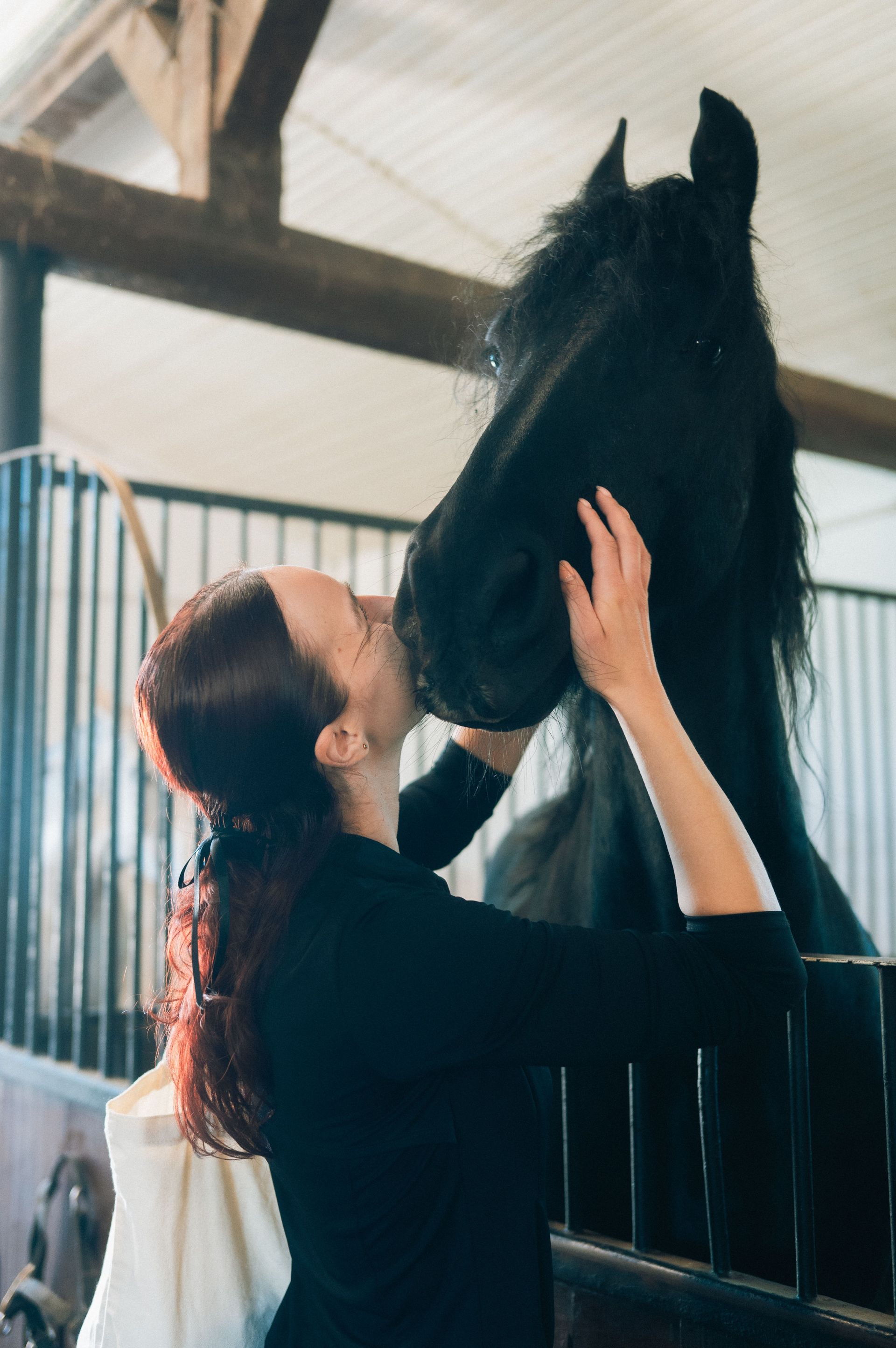 De band tussen mens en paard, Natural Horsemanship, paardengedrag, communicatie
