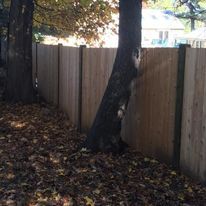 fence gallery