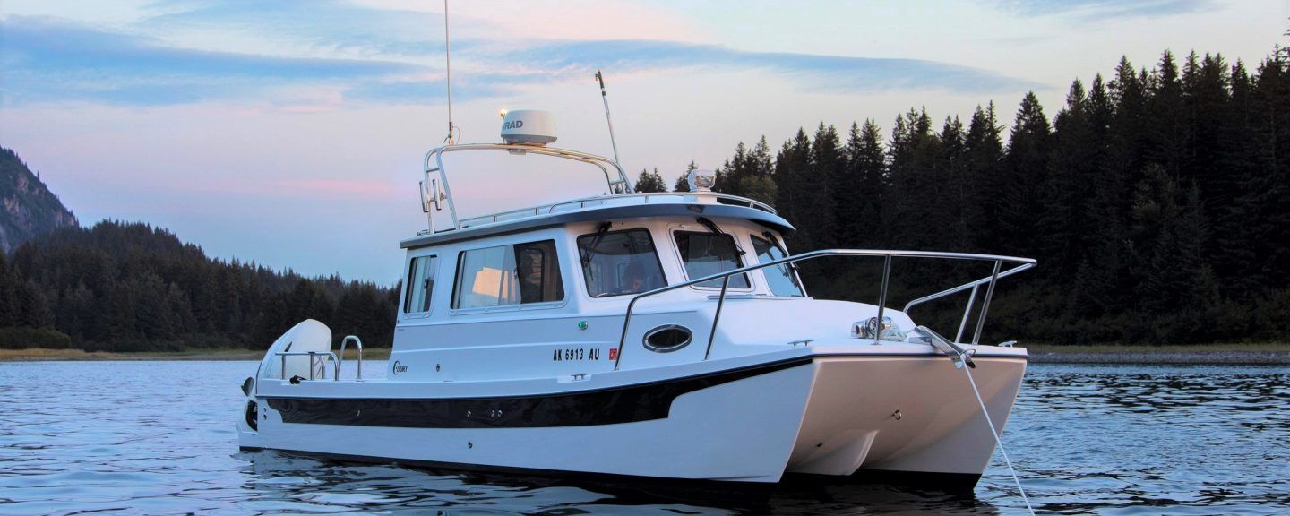 Roof Top Radar Arch by Tanner Manufacturing on a C-Dory boat