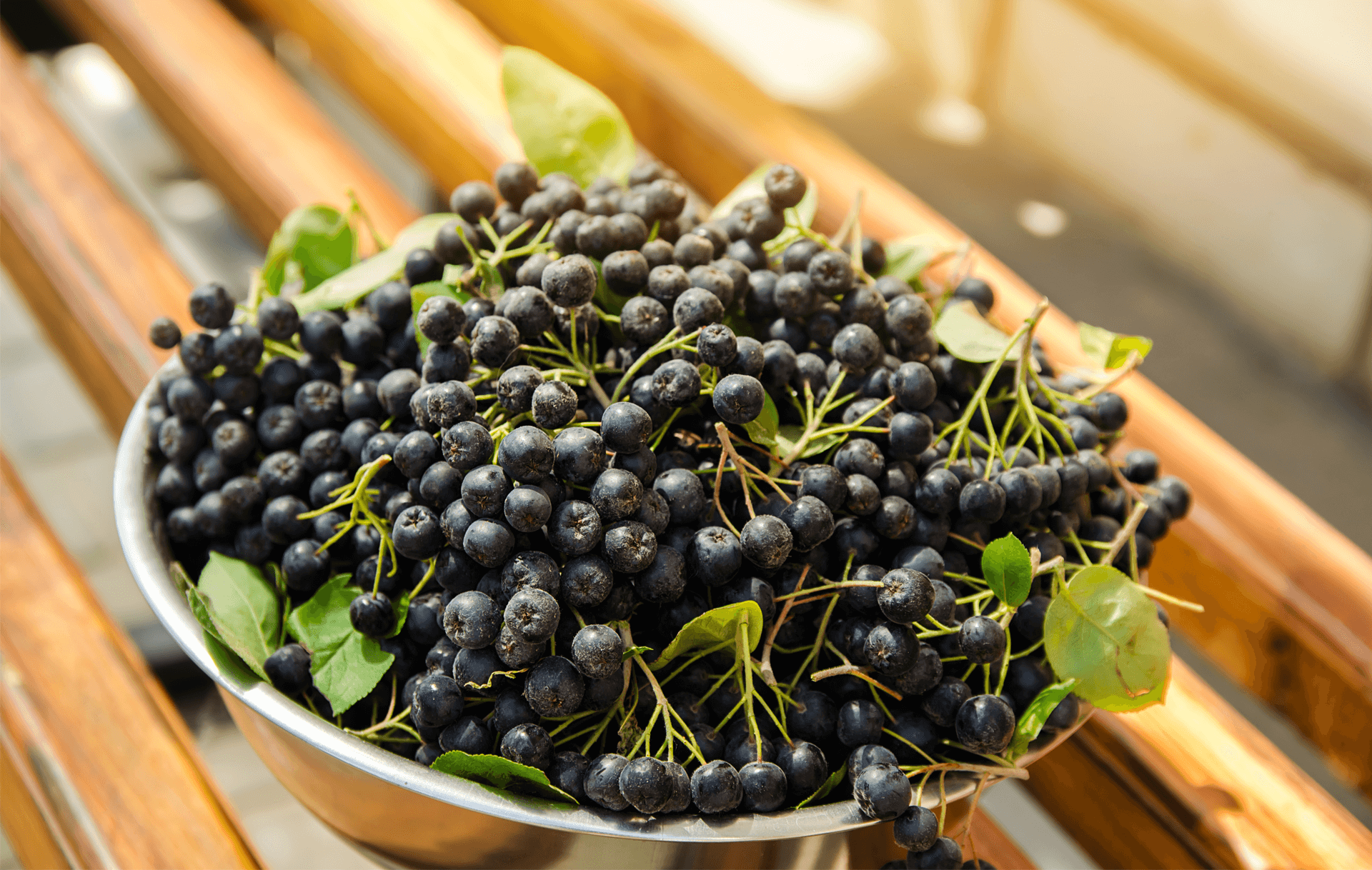 Aroniabeeren werden immer beliebter. Entdecken Sie diese jetzt in unseren probiotischen Drinks