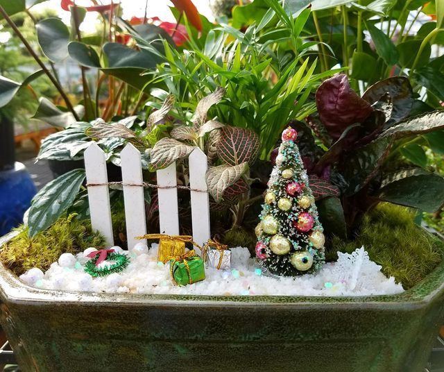 A Miniature Garden with A White Picket Fence and A Christmas Tree | Bentonville, AR | Bogle's Garden City