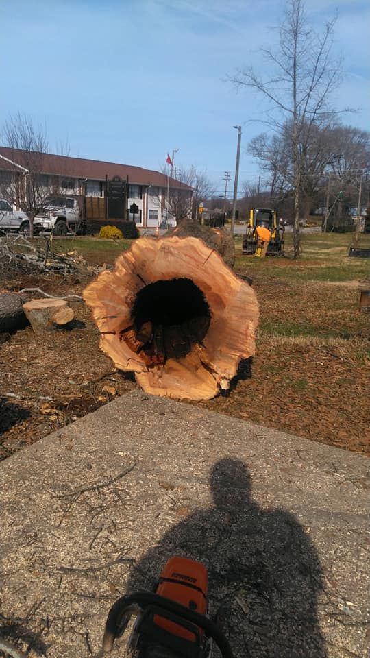 Get stump grinding in Waxhaw, NC with Waxhaw Tree Service