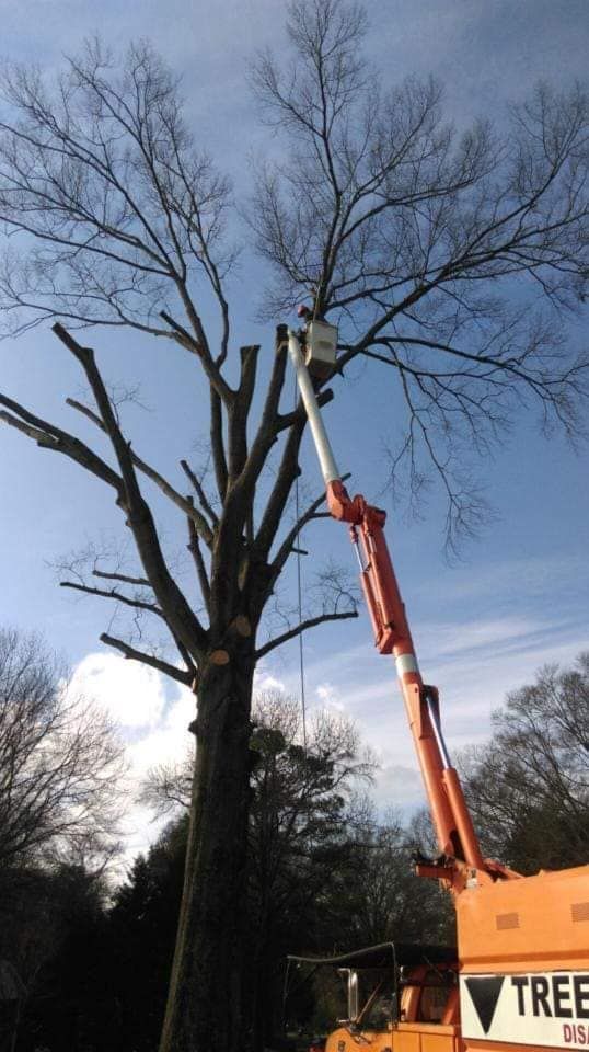Crane Services