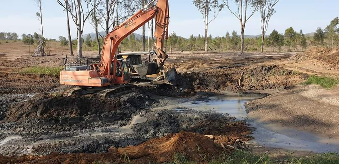 4 Tips To Choose The Best Land Clearing Company