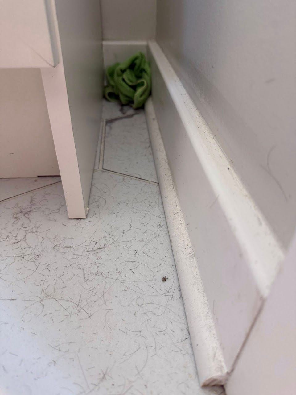 Dusty white corner with green cloth and white molding.