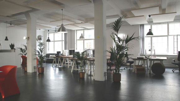 Open-plan office with desks, plants, and large windows. White walls and columns, dark floor.