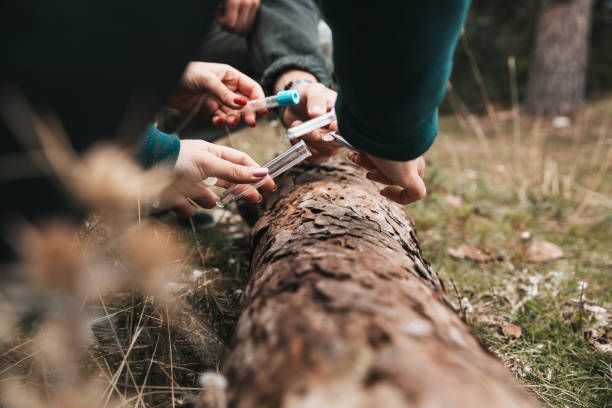 People Checking the Tree — Rainbow Flat, NSW — Tree Solutions NSW