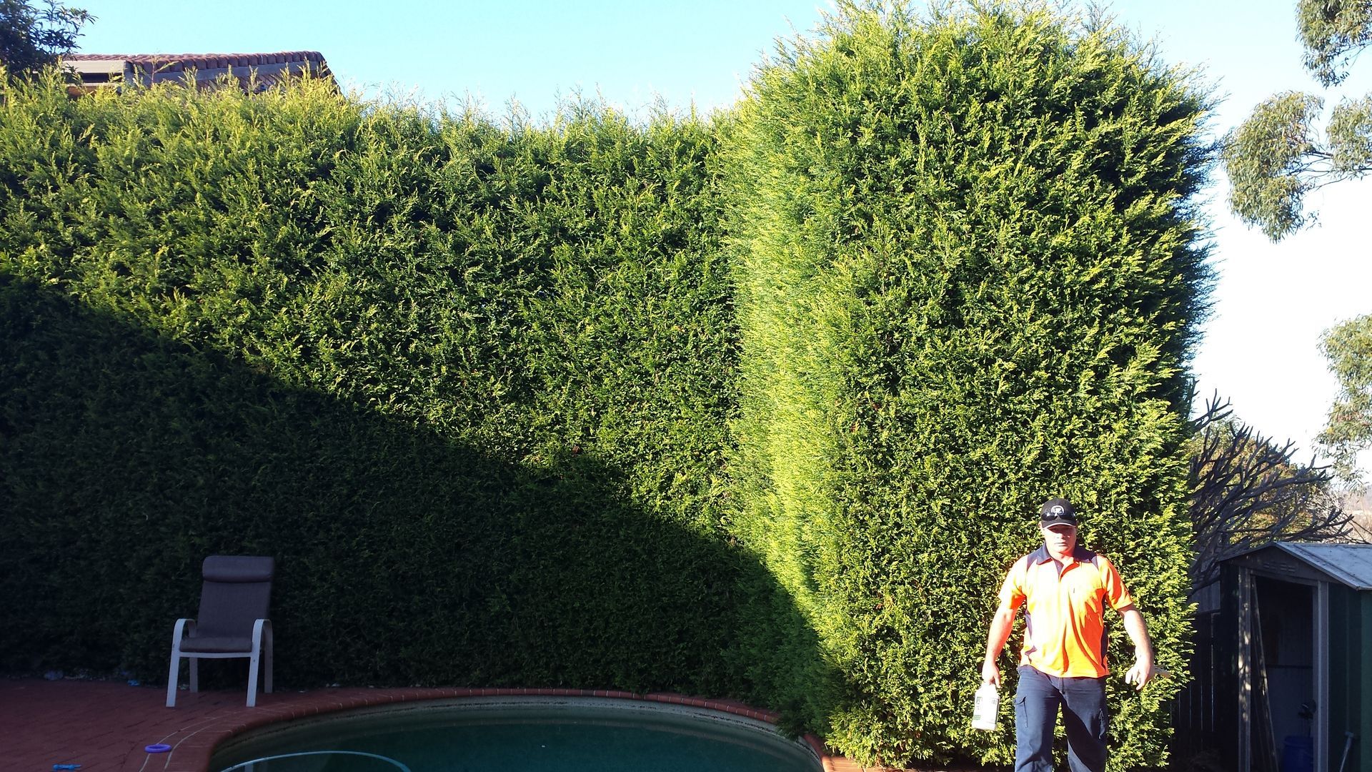 Tree Trimming — Rainbow Flat, NSW — Tree Solutions NSW