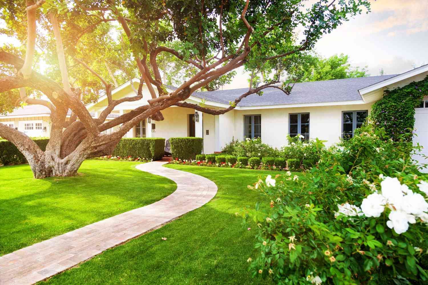 a white house with a tree in front of it and a path leading to it .
