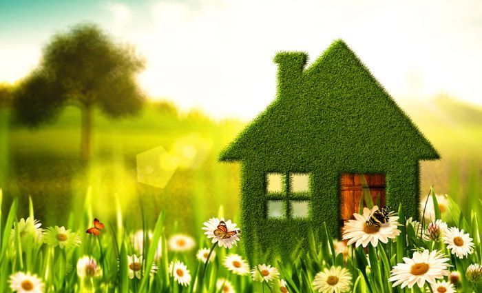 A green house made of grass is sitting in a field of daisies.