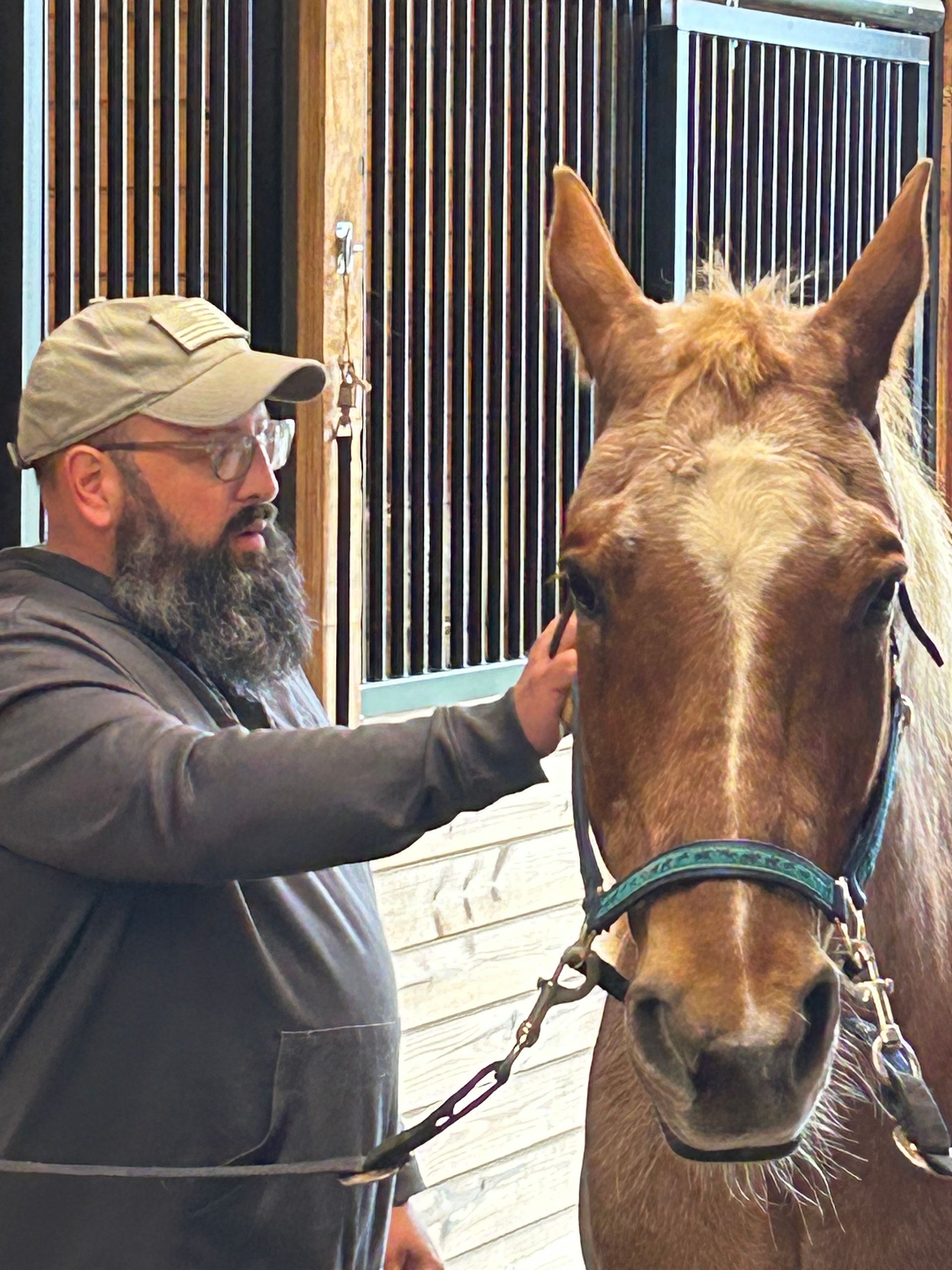 Veteran at an equine program petting a horse in a stable, with barn stalls in the background