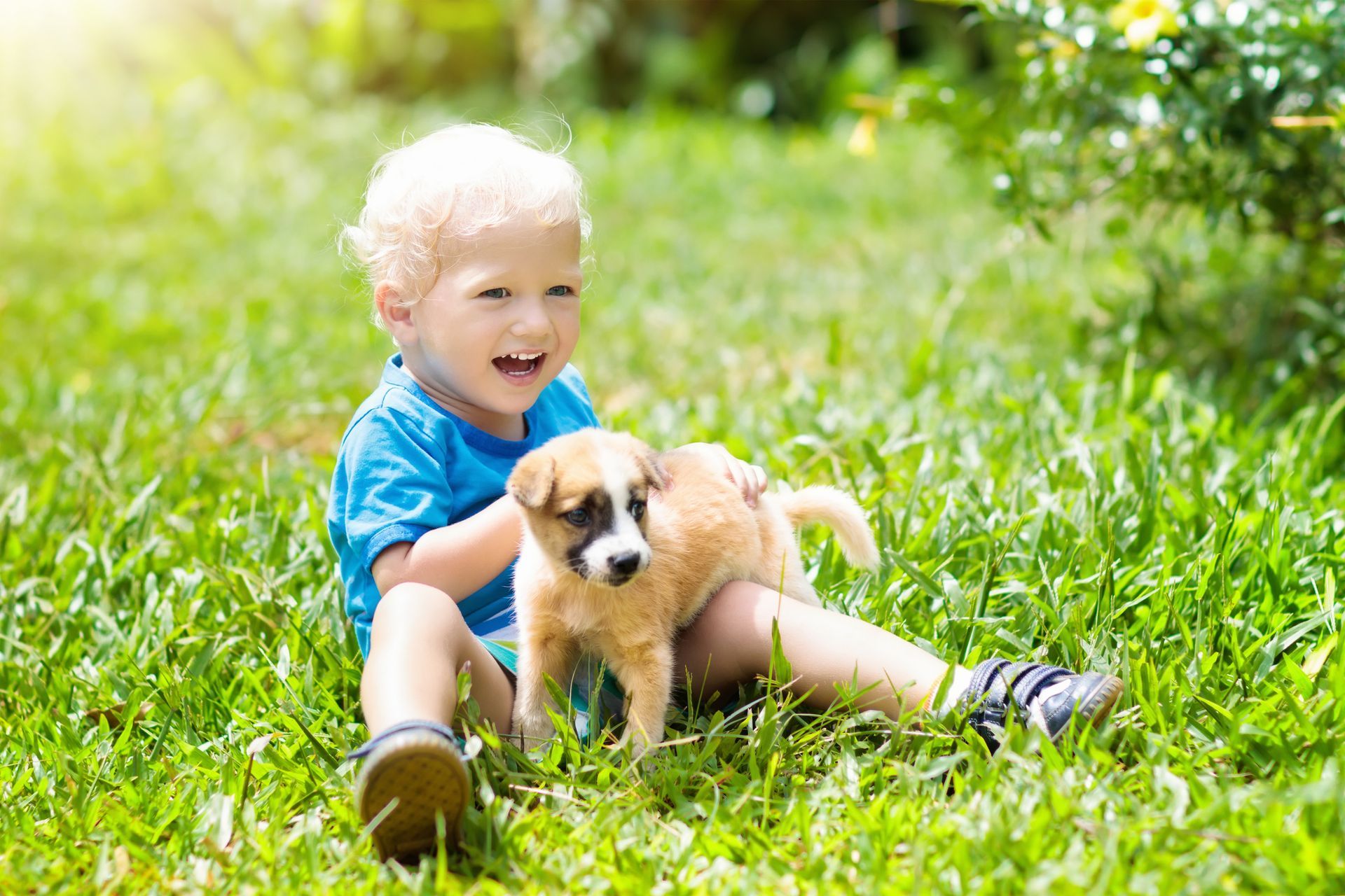 A young boy with blond hair is sitting in the grass with a puppy. He is smiling.