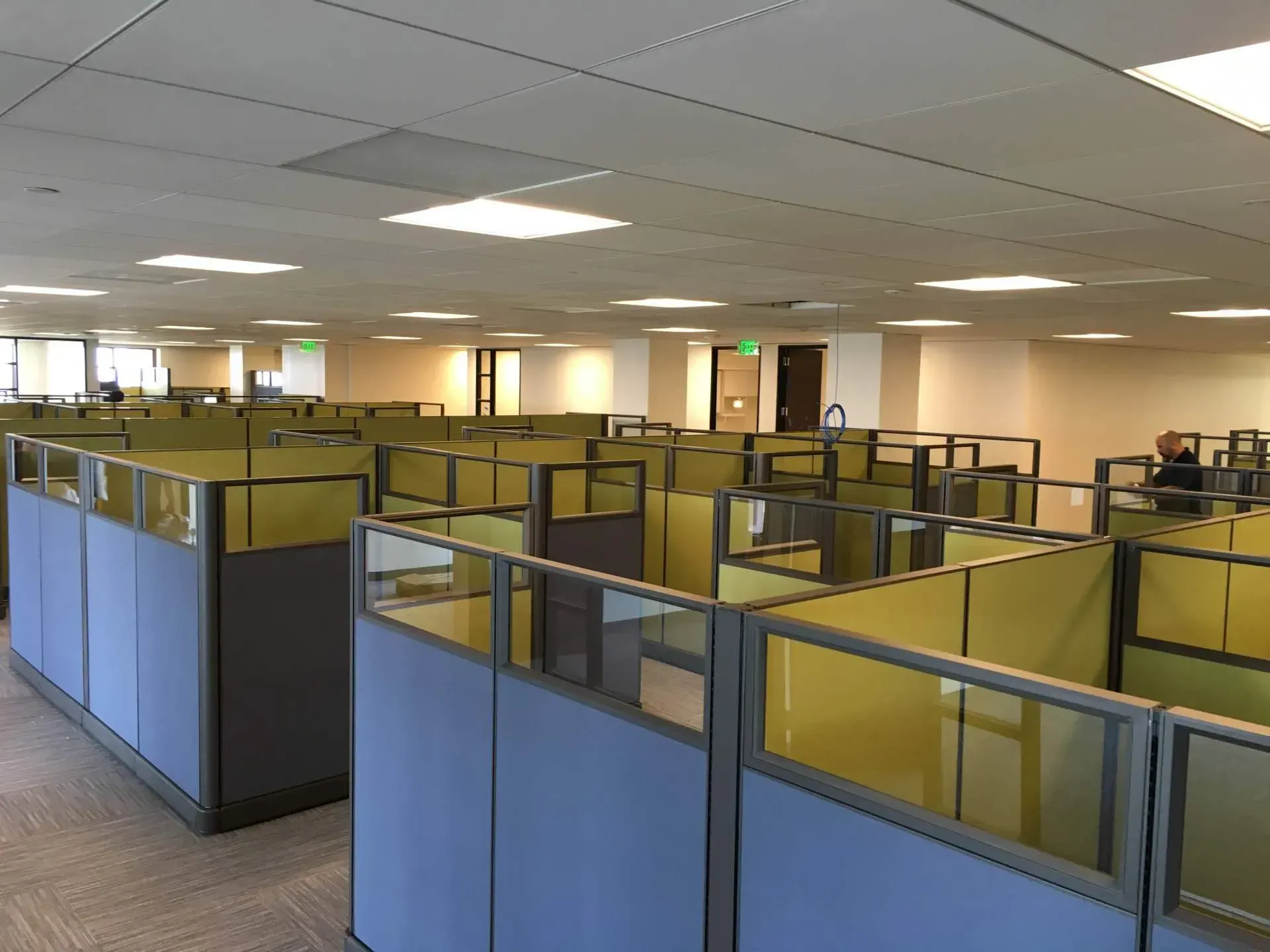 A row of blue and yellow cubicles in an office