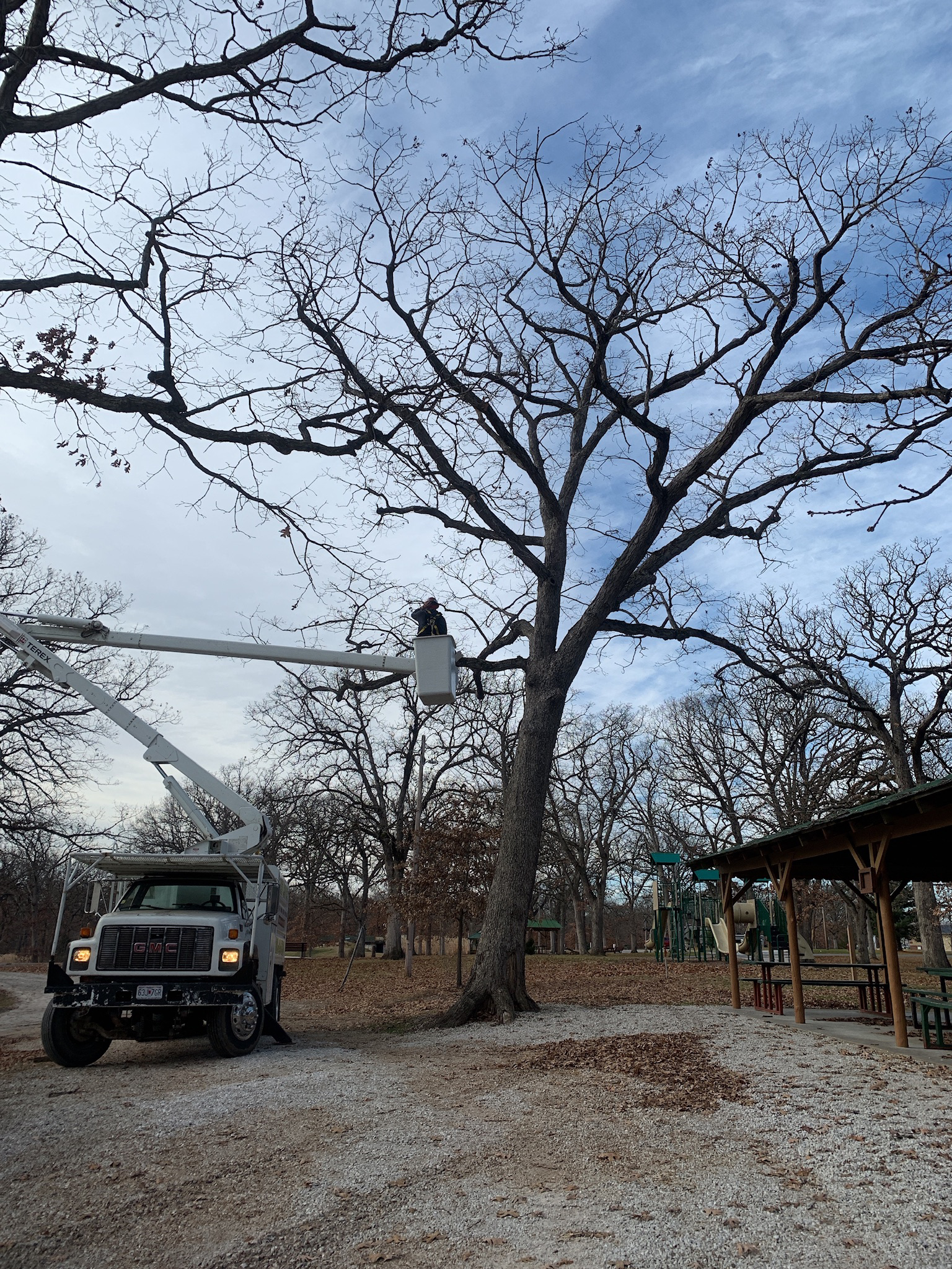 Let The Professionals at Top Quality Landscaping Trim & Remove Your Trees in Missouri.