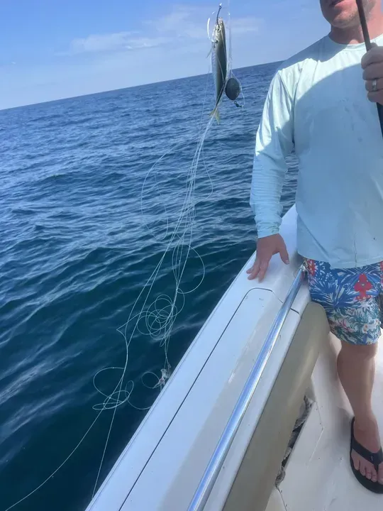 Person on a boat holding up a small fish over the ocean on a sunny day