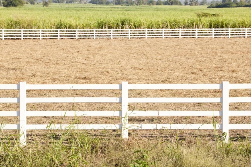 A White Fence Surrounds a Dry Grassy Field — SMH Valley Fencing & Maintenance In Millfield, NSW