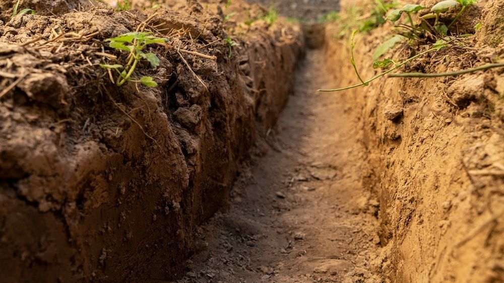 A Trench in the Ground With Plants Growing Out of It — SMH Valley Fencing & Maintenance In Millfield, NSW
