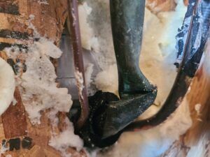Close-up of dark boots in thick white foam against a wet, brown surface.