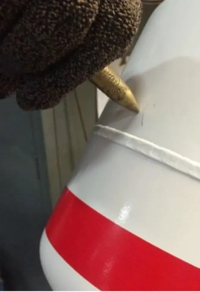 Close-up of a bird’s beak near a white container with a red stripe