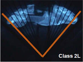 Blue hand image with orange V-shaped outline and “Class 2L” text at bottom right