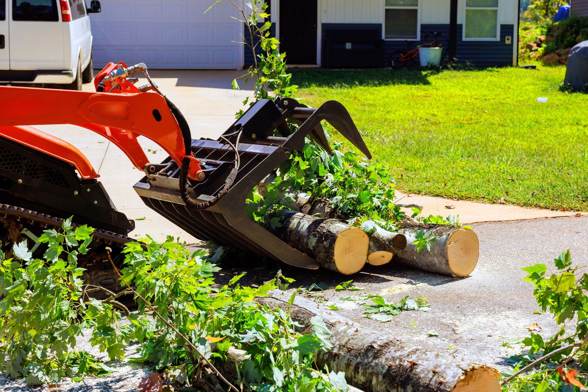 Loader pushing cut tree branches on a residential driveway