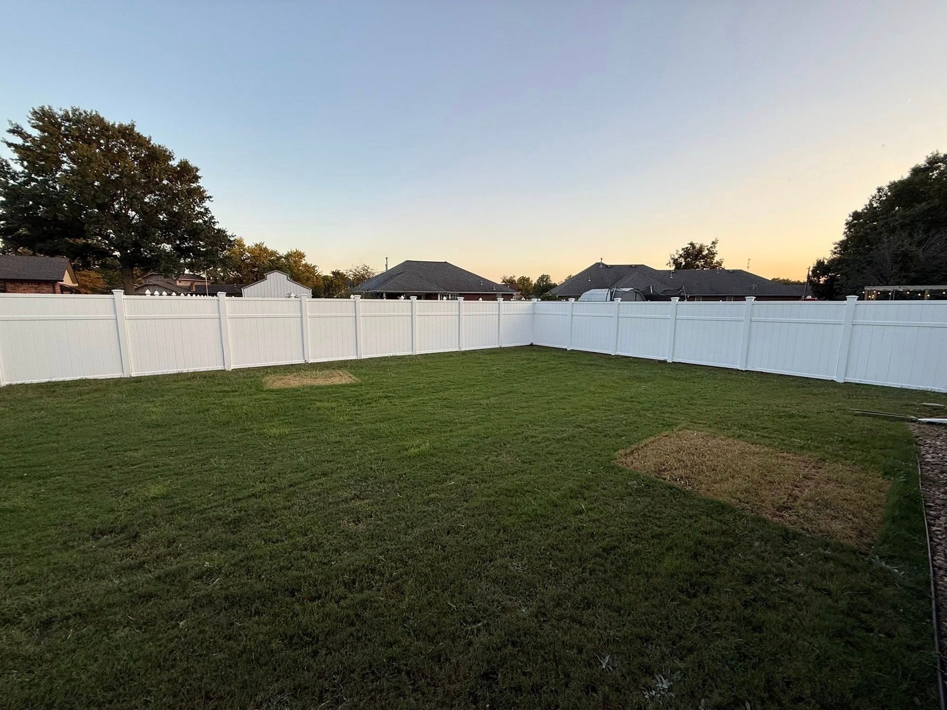 Backyard lawn with white vinyl fence at sunset, mostly green grass with a bare patch.