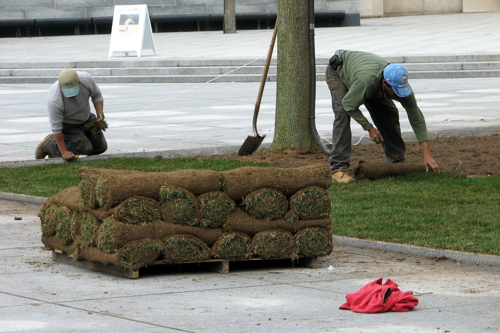 Sod Installation Savannah GA