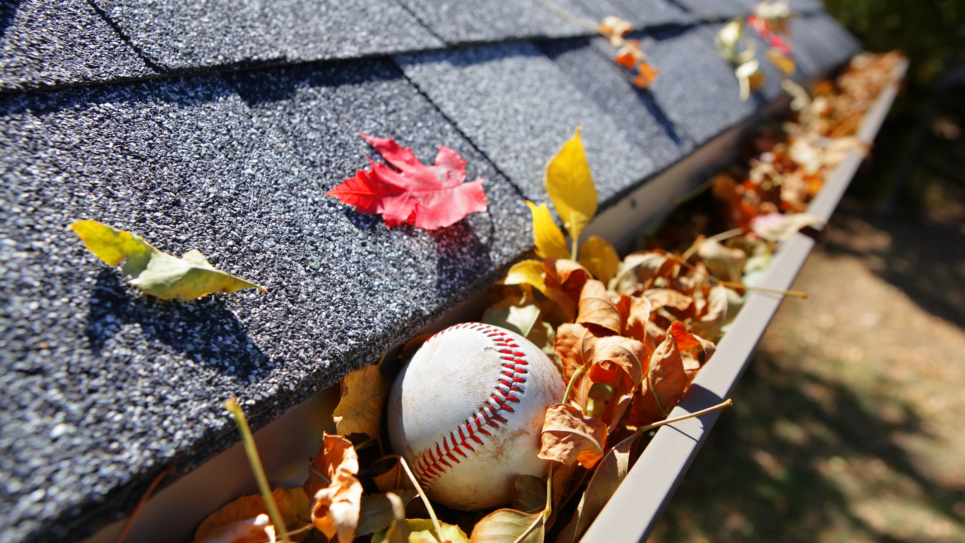 gutter cleaning in Statesboro