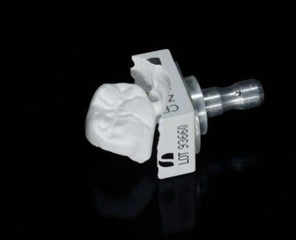 a dental model of a tooth is sitting on a black surface .