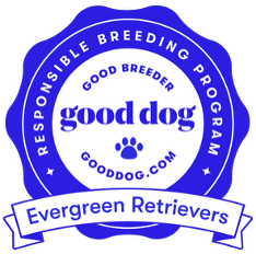 Good Dog approved