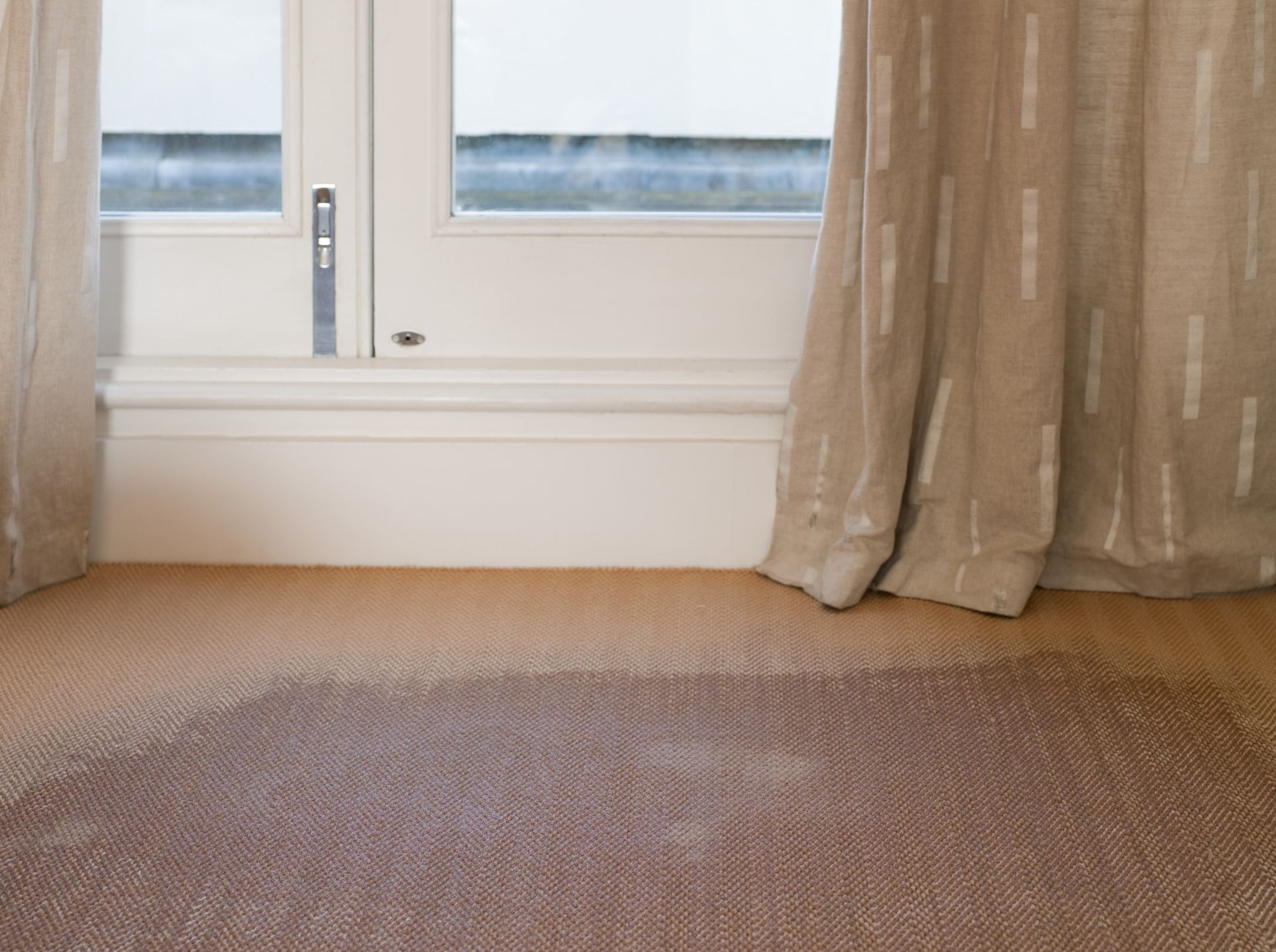 Wet carpet in front of a window, beige curtains on either side.