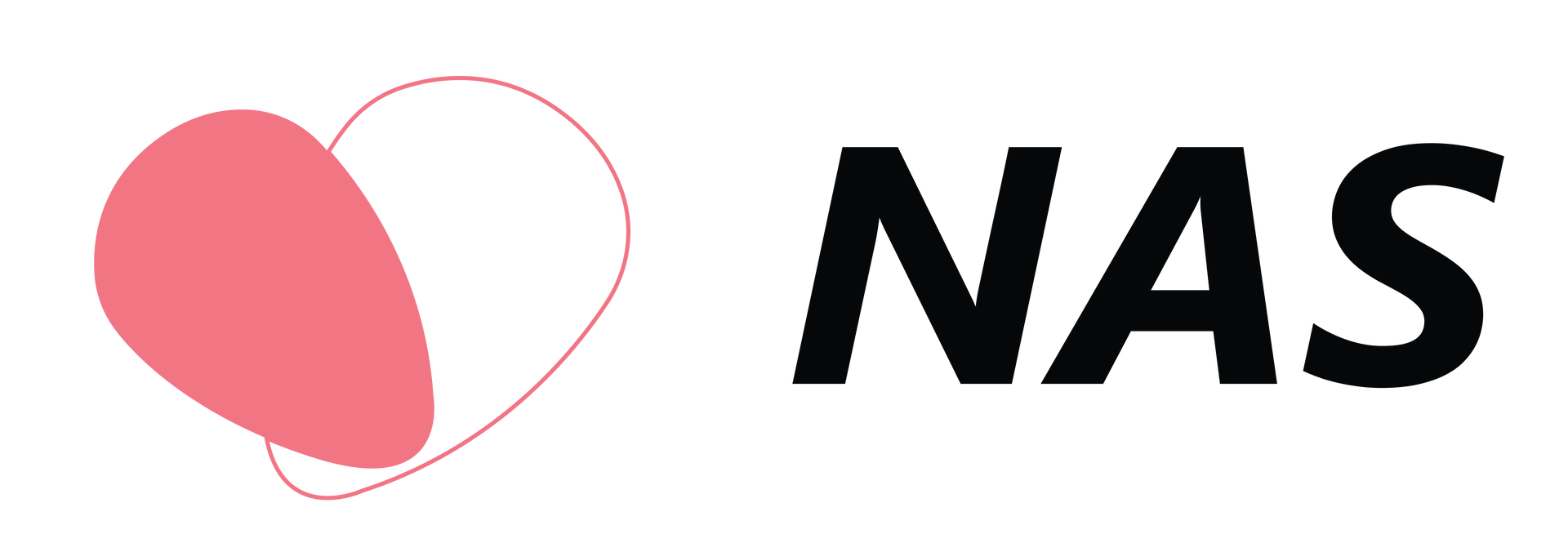 NAS insurance company coverage|cover nas