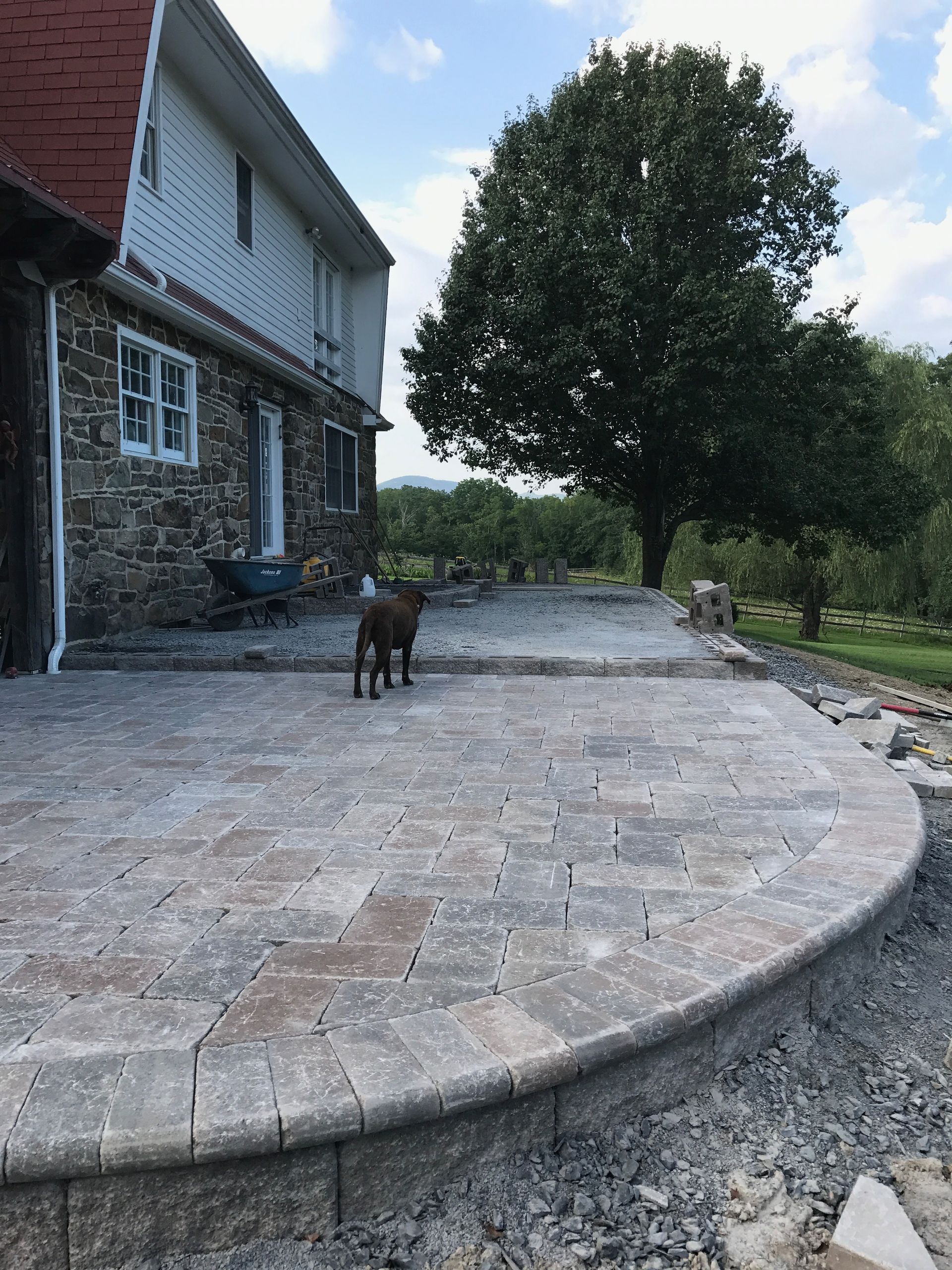 A dog standing on a patio in front of a house