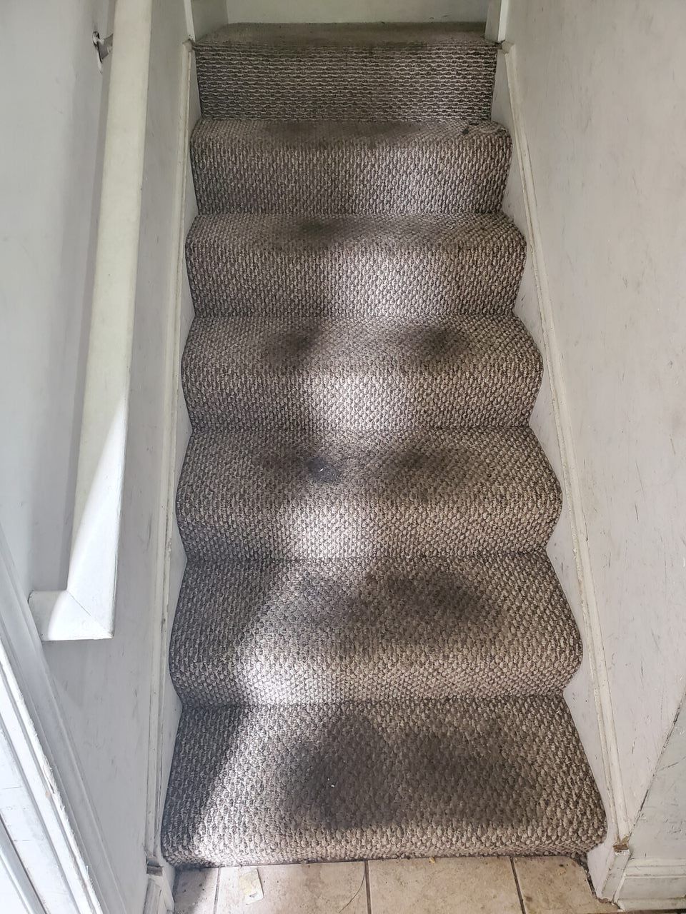Staircase with textured, gray carpet in a narrow hallway.