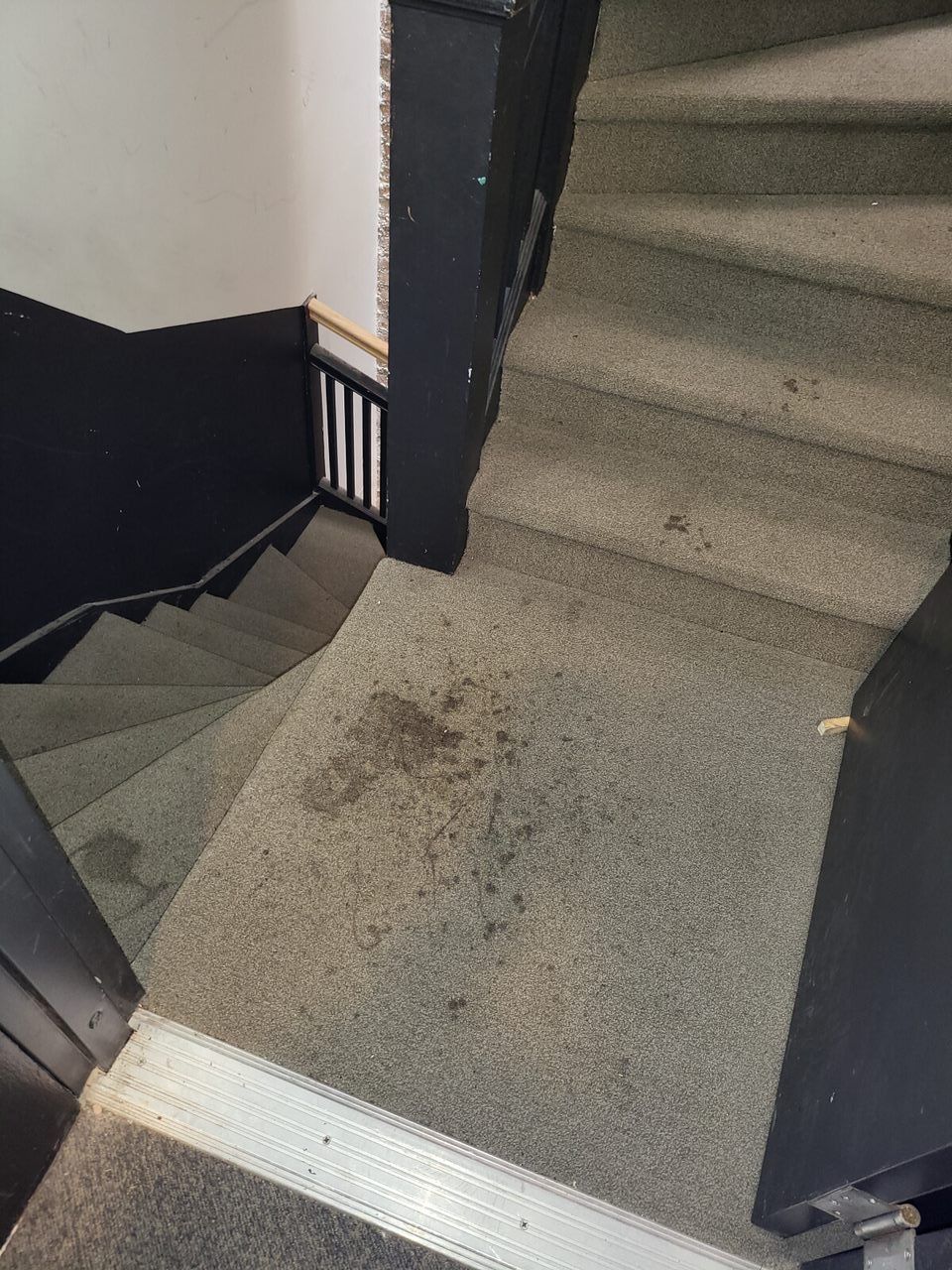 Staircase with carpeted steps. Dark-painted walls border the stairs, and a stain is visible on the landing.