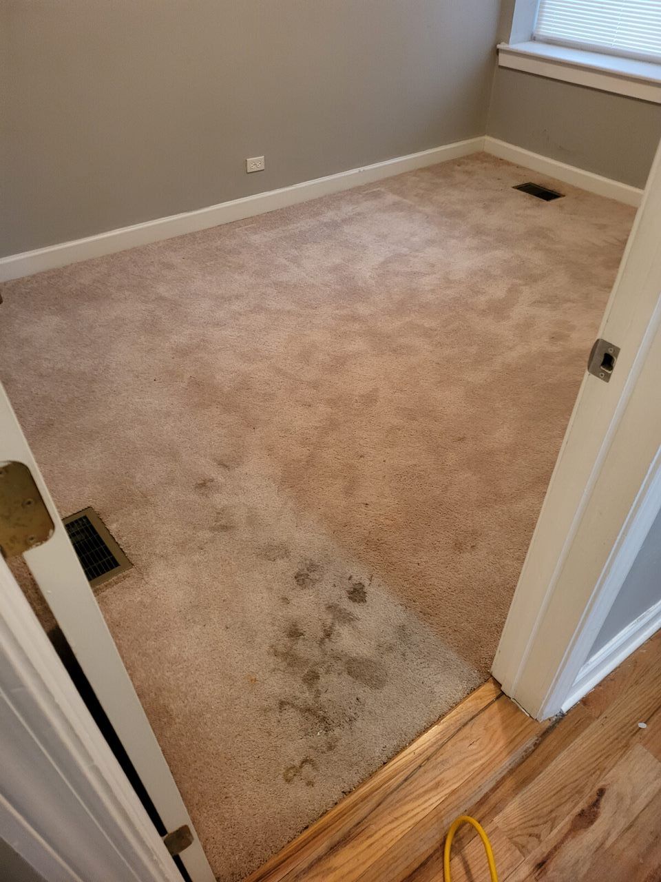 A room with stained beige carpet, gray walls, and a wood door frame.