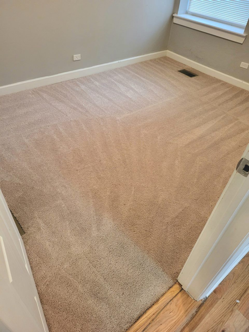 Beige carpeted room, empty. Gray walls, white trim, wooden floor visible at the door.