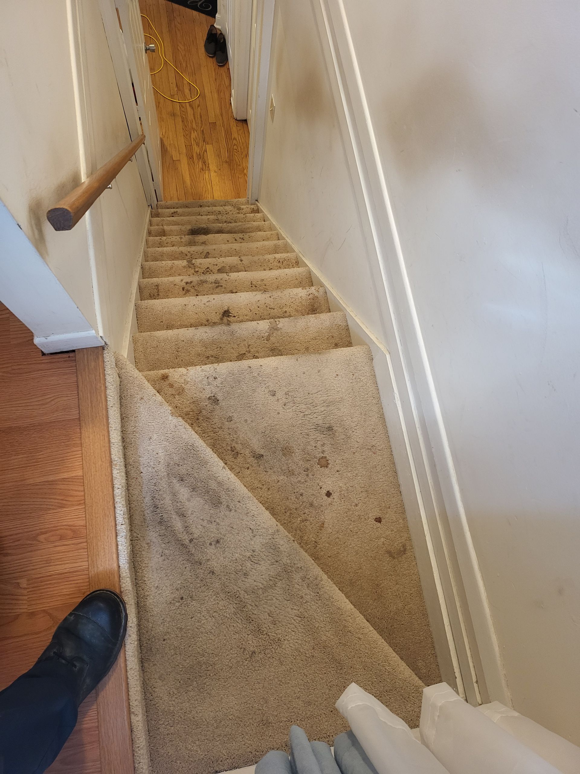 Staircase with carpet in a narrow hallway, wood handrail on the left.