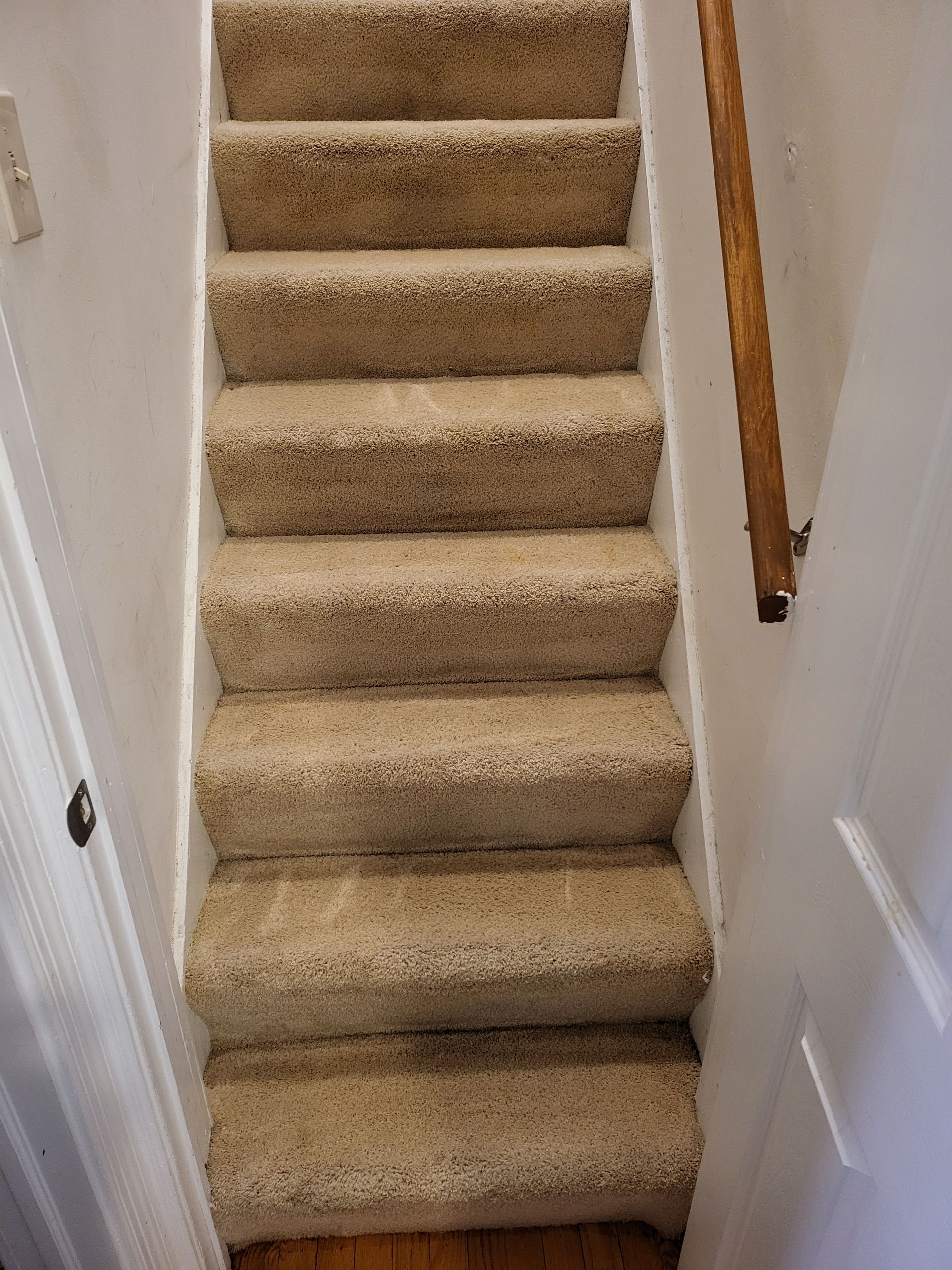 Staircase with beige carpet and white risers, wooden handrail on the right, door on the right and left sides.
