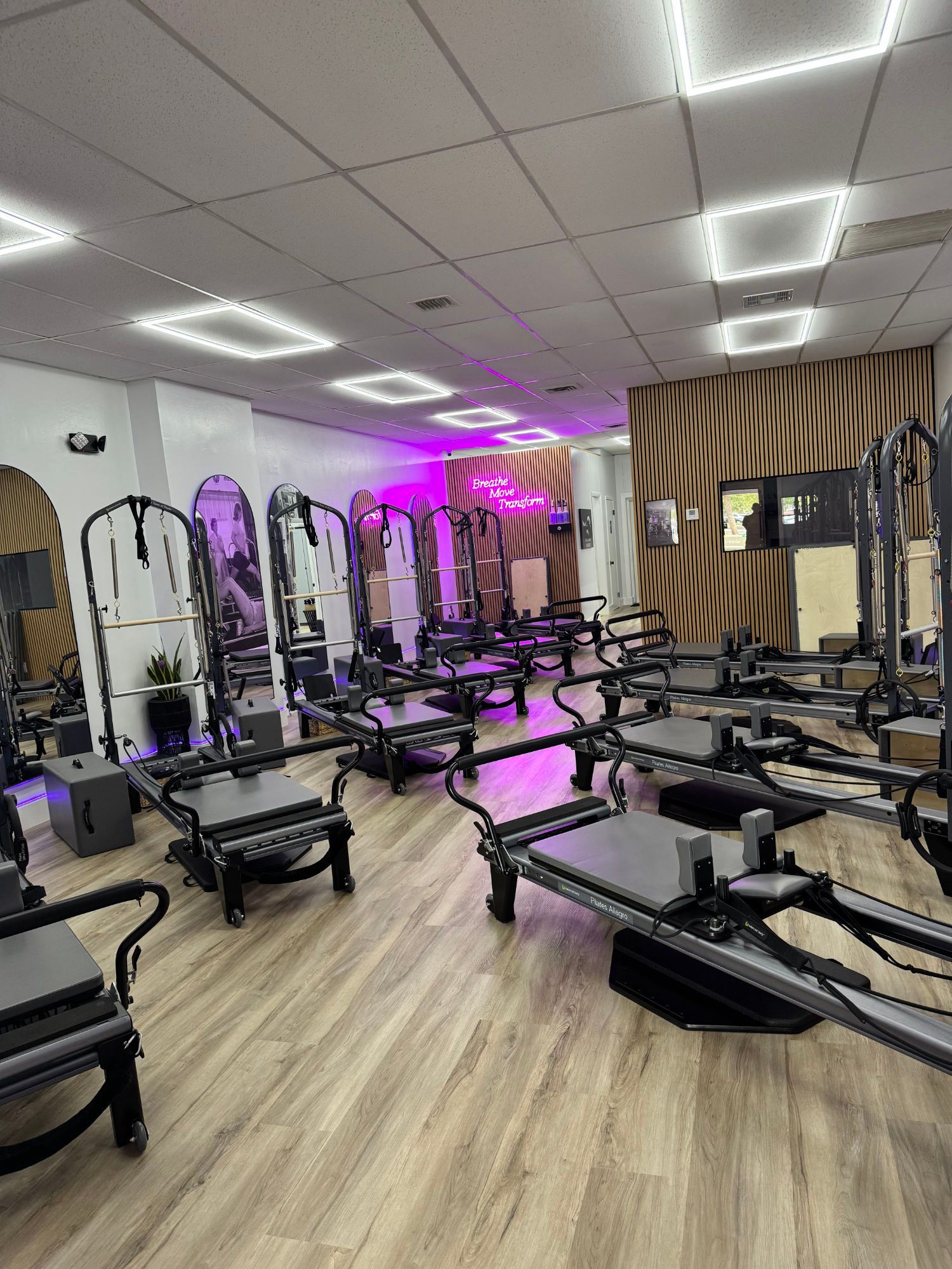 A group of people are doing pilates in a studio.