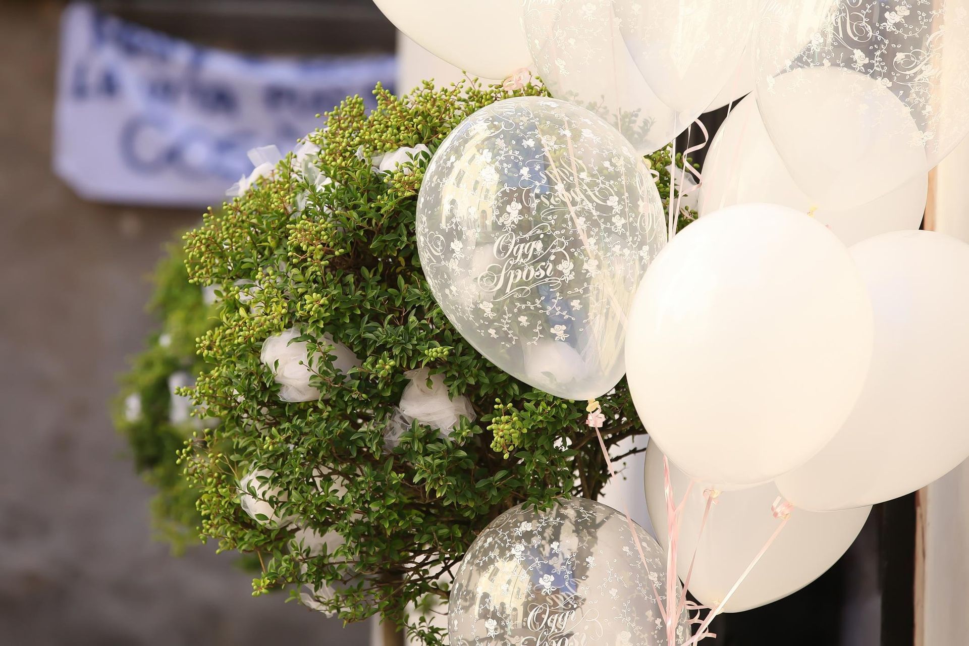 White and clear balloons beside a green wreath in an outdoor setting