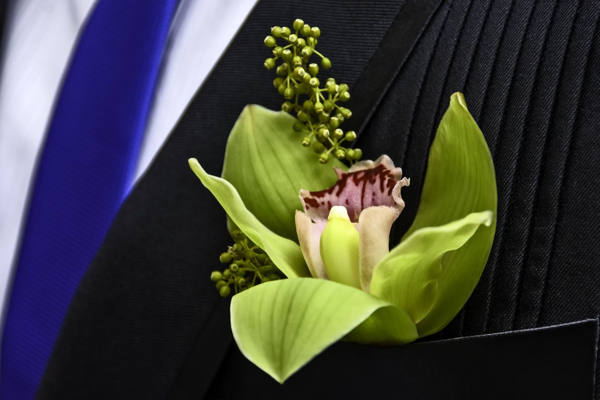 Green orchid boutonniere on a black pinstriped suit with a blue tie