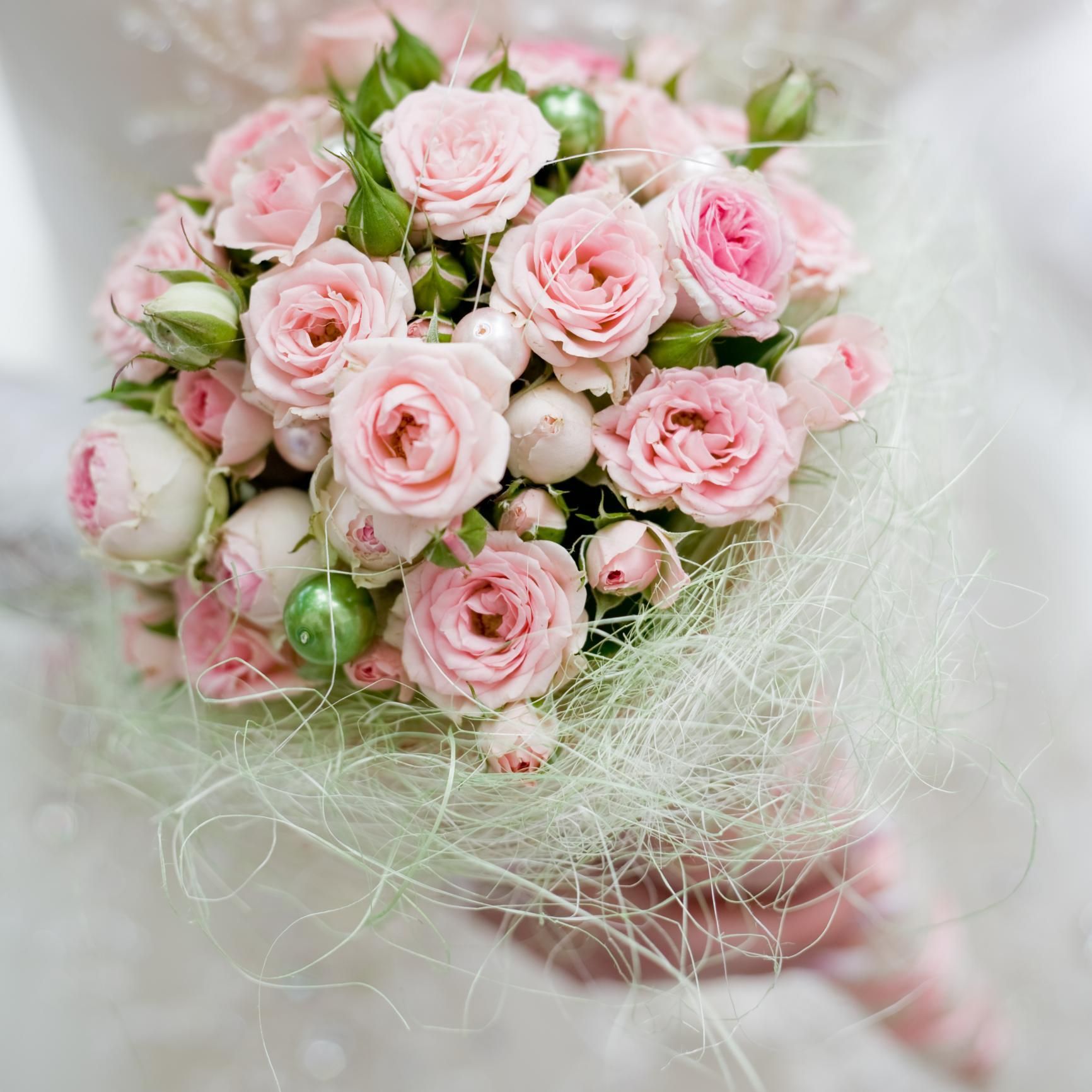 Bouquet of pale pink roses wrapped in white mesh