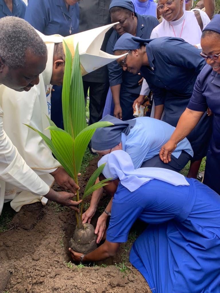 A group of people are planting a tree in the dirt.