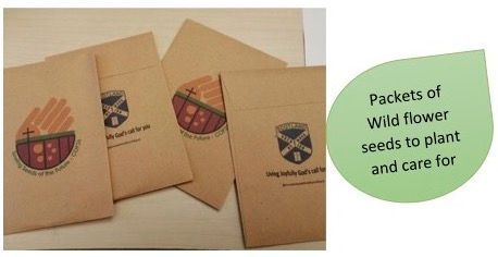 Packets of wild flower seeds to plant and care for