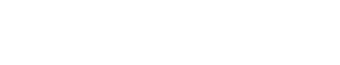 a white background with a few lines on it