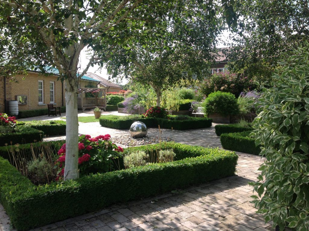 A lush green garden with a tree and bushes