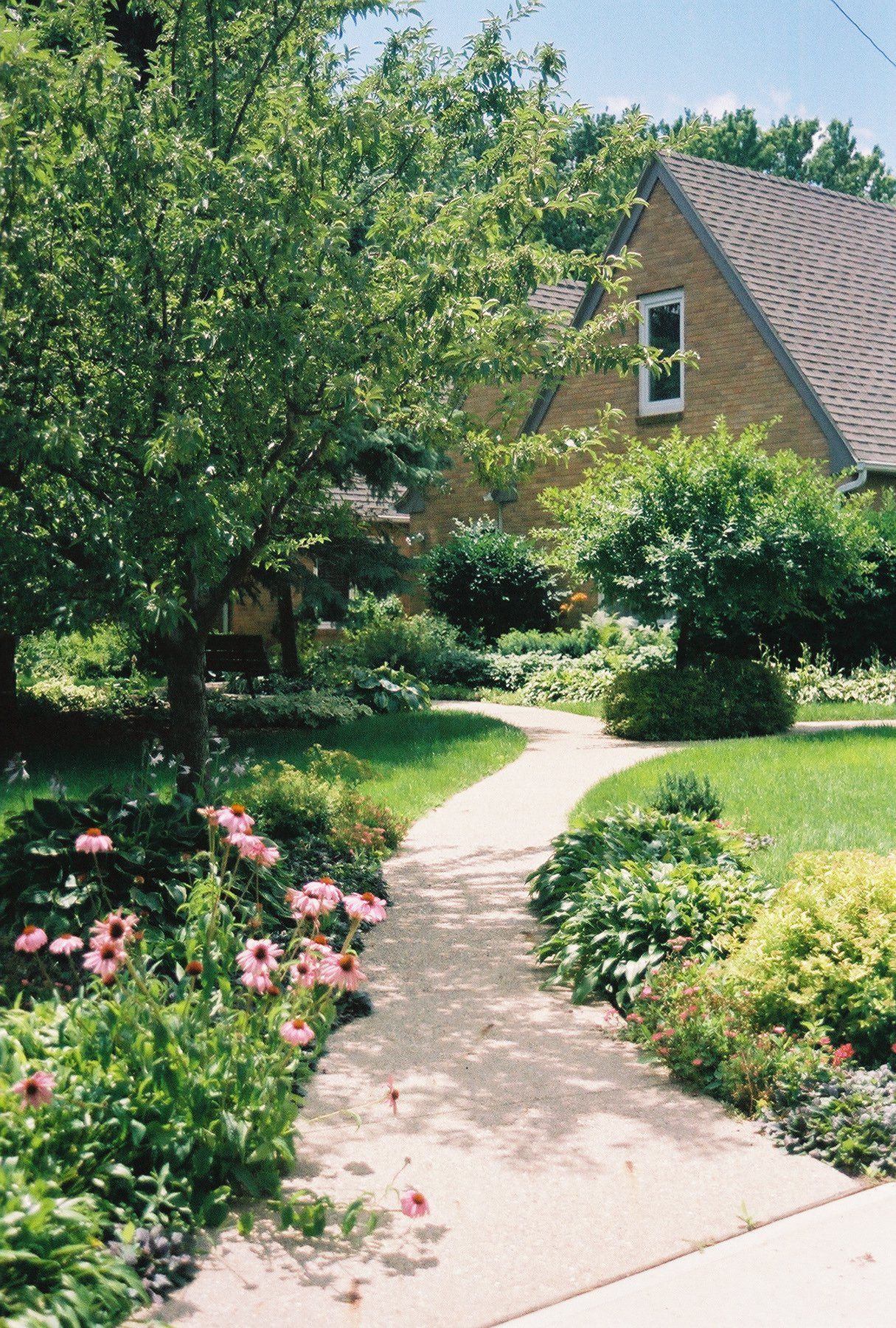 Garden path winding through colorful flowers and shrubs beside a house on a sunny day